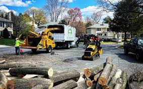 Best Seasonal Cleanup (Spring/Fall)  in Seguin, TX